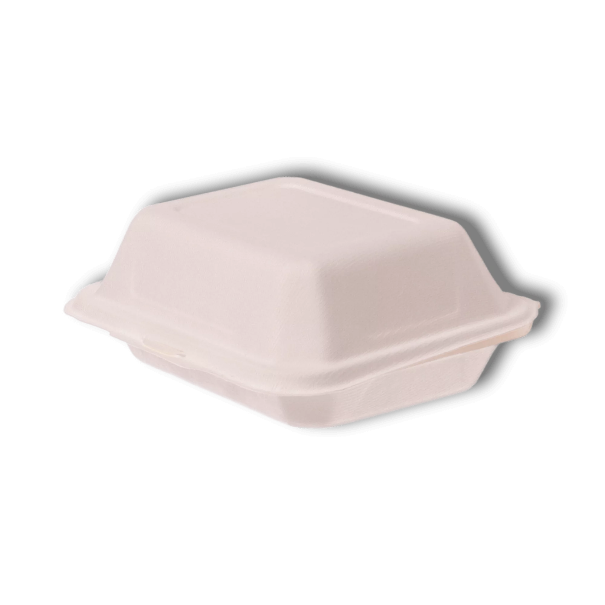 Bagasse Lunchboxen Umweltfreundlich & Praktisch 🌱 - Jetzt Bestellen! –  packn