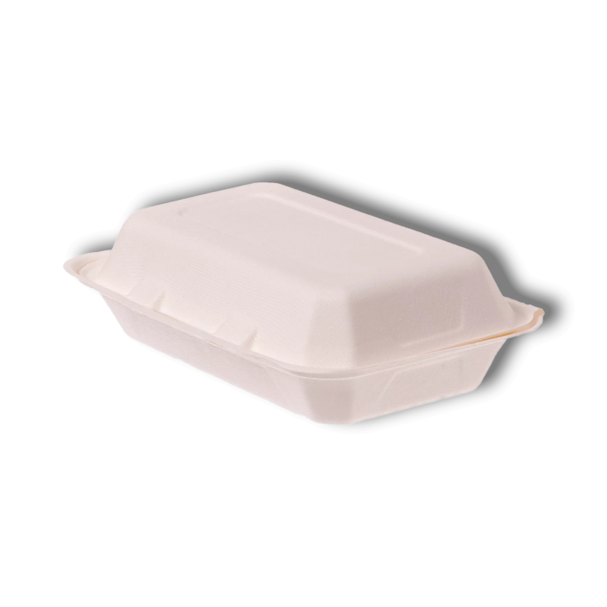 Bagasse Lunchboxen, Weiß